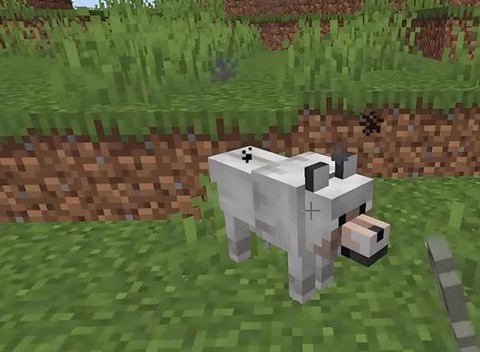 我的世界怎么训话狼[图2]