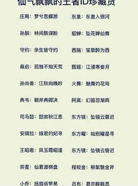 什么王者荣耀名字好听[图2]