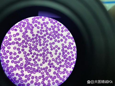 绝地求生紫色血怎么调[图2]